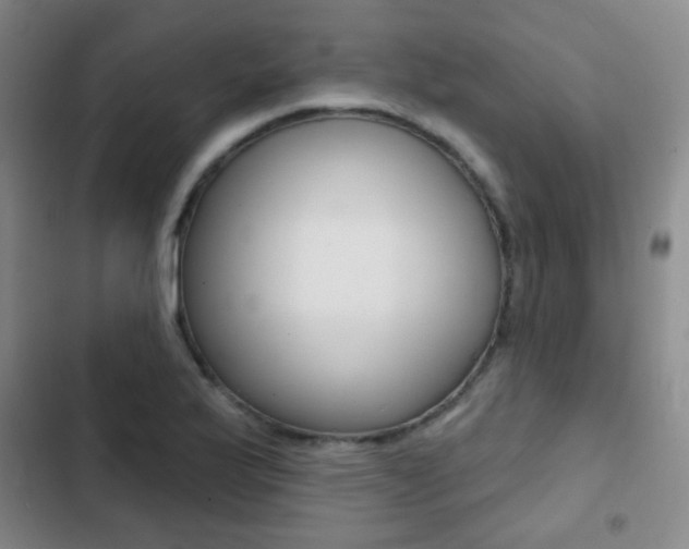 X0000103241175200808281026