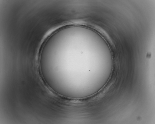 X0000103241176200808281026