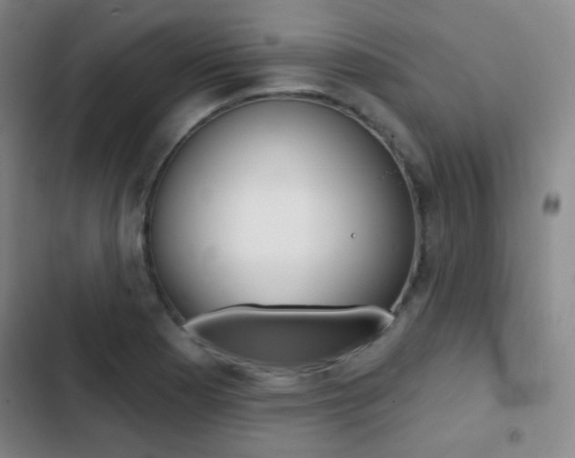X0000103241177200808281026