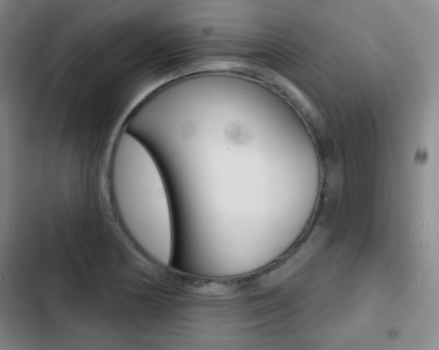 X0000103241178200808281026