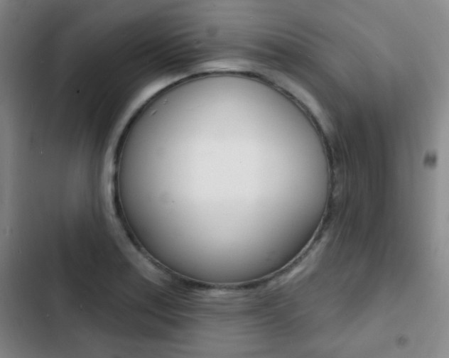 X0000103241179200808281026