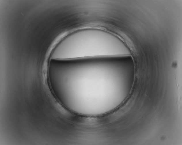 X0000103241180200808281026