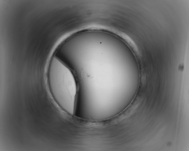 X0000103241183200808281026