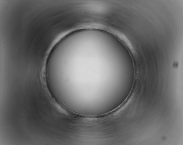 X0000103241184200808281026