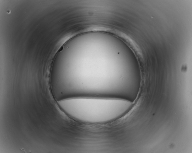 X0000103241185200808281026