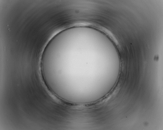 X0000103241186200808281026
