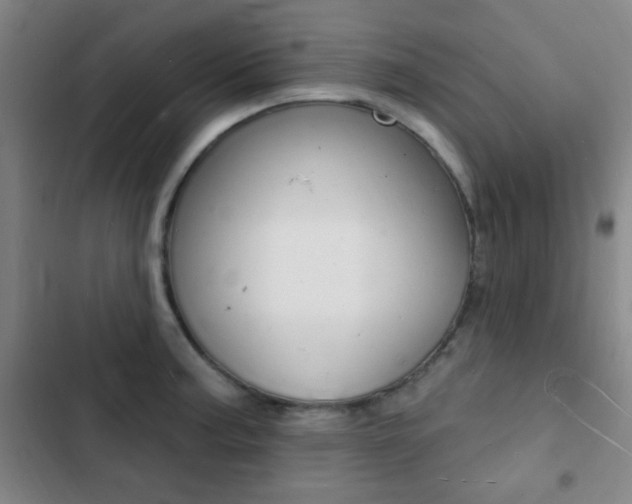 X0000103241187200808281026
