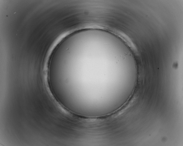 X0000103241188200808281026