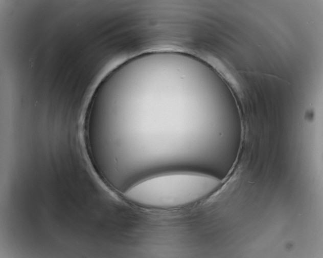 X0000103241189200808281026