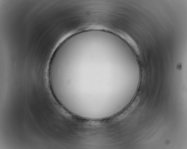X0000103241190200808281026