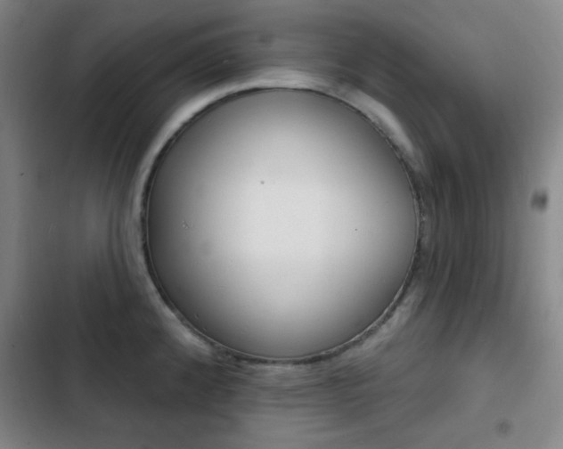 X0000103241192200808281026