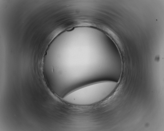 X0000103241193200808281026