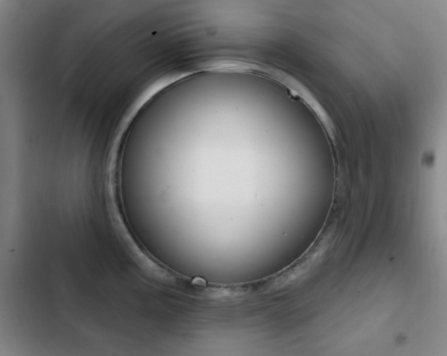 X0000103241195200808281026