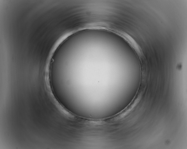 X0000103241196200808281026