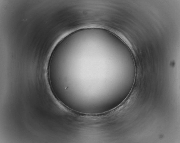 X0000103241197200808281026