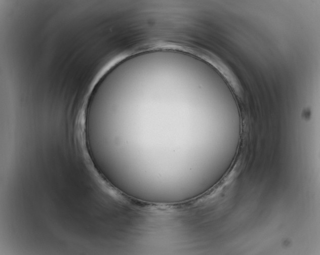 X0000103241198200808281026
