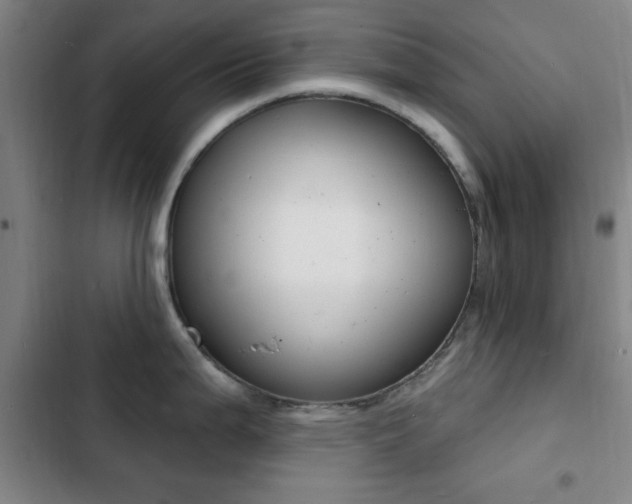 X0000103241199200808281026