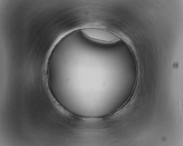 X0000103241200200808281026