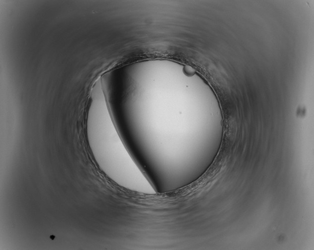 X0000103241201200808281025