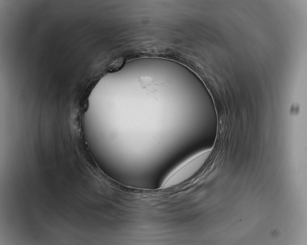 X0000103241202200808281025