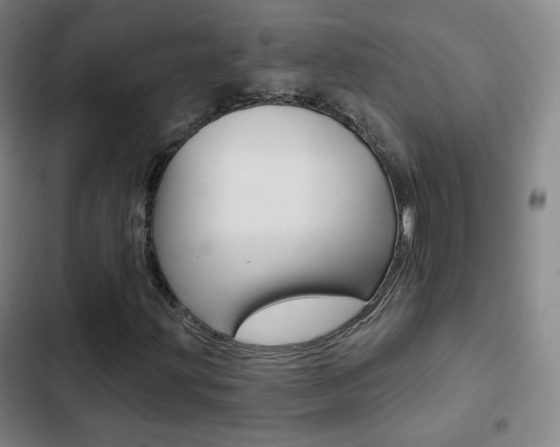 X0000103241203200808281025