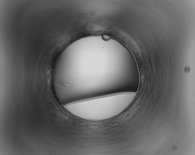 X0000103241204200808281025