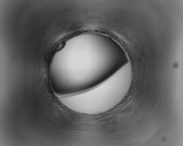 X0000103241206200808281025