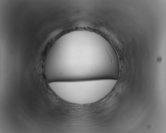 X0000103241207200808281025