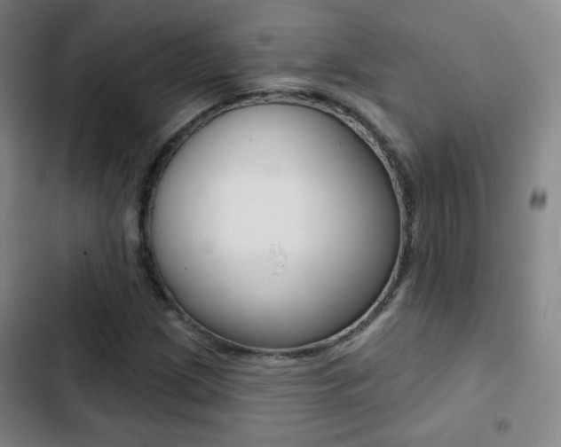 X0000103241209200808281025