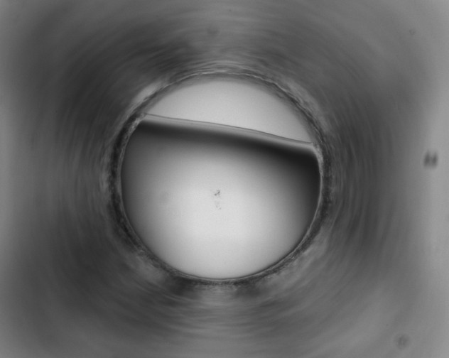 X0000103241210200808281025