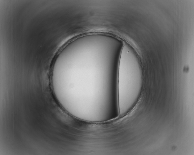 X0000103241212200808281025