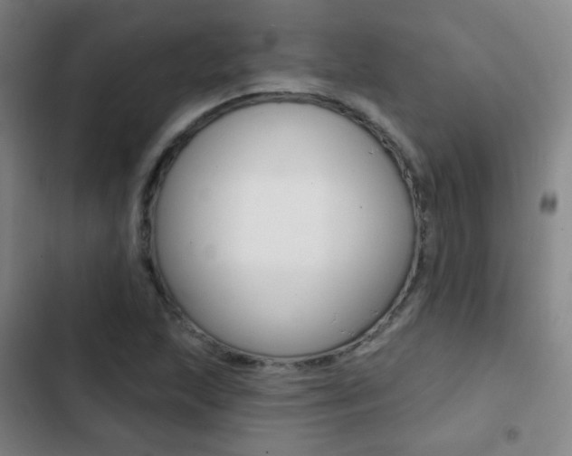 X0000103241215200808281025
