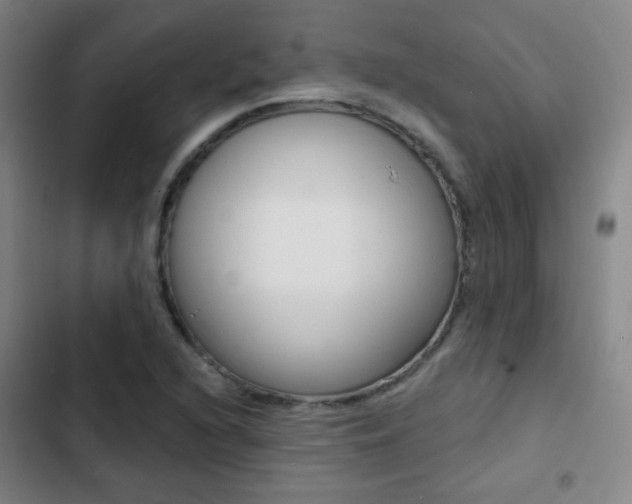 X0000103241216200808281025