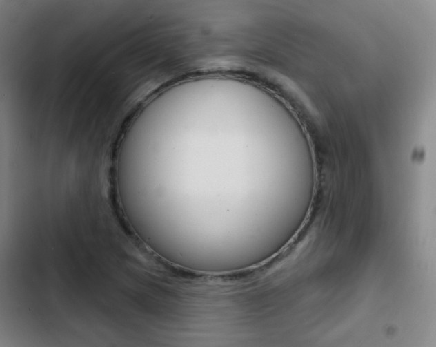 X0000103241217200808281025