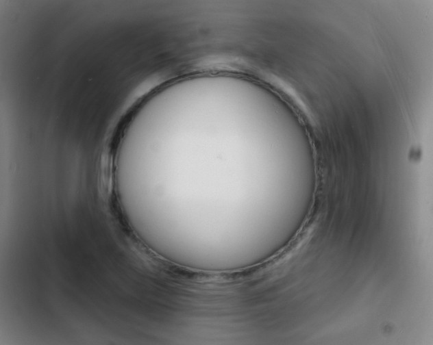 X0000103241219200808281025