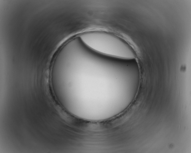X0000103241220200808281025