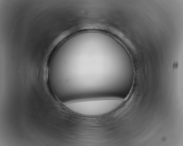 X0000103241221200808281025