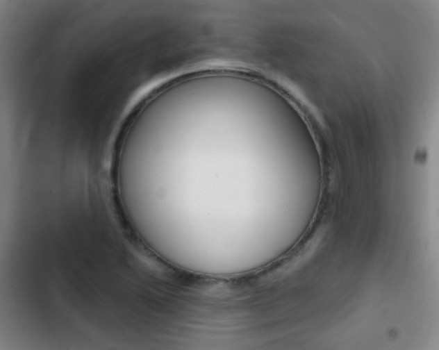 X0000103241222200808281025