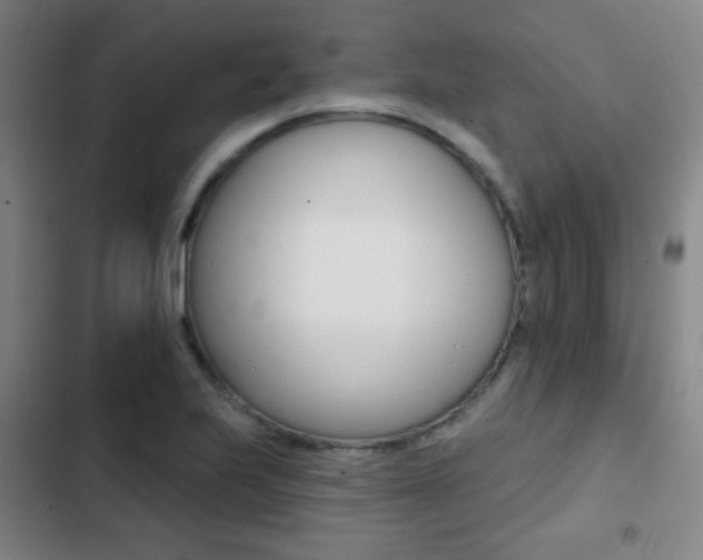 X0000103241223200808281025