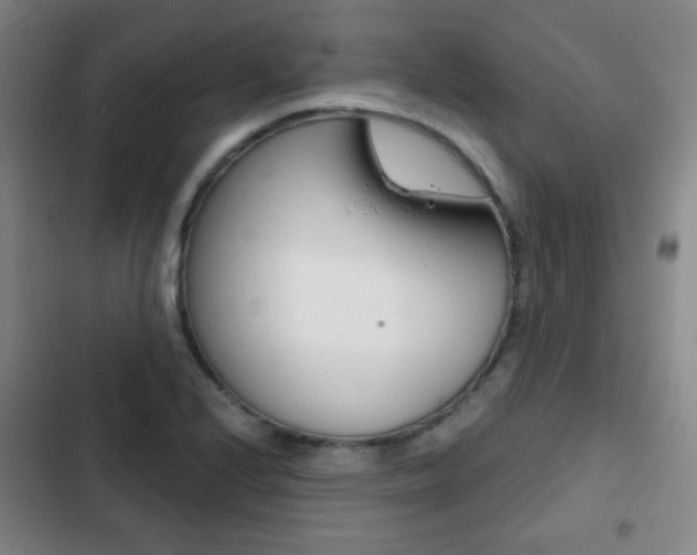 X0000103241224200808281025