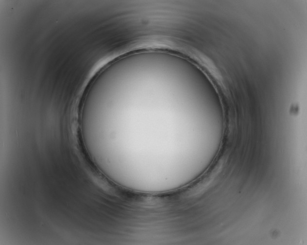 X0000103241226200808281025