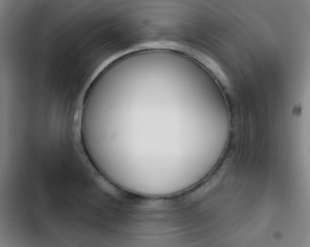 X0000103241228200808281025
