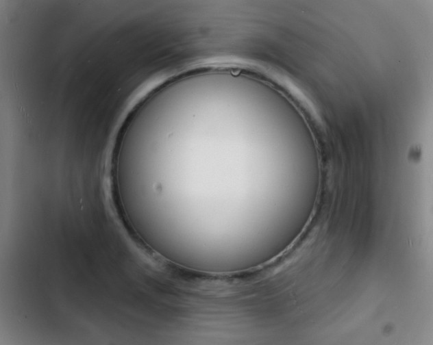 X0000103241229200808281025