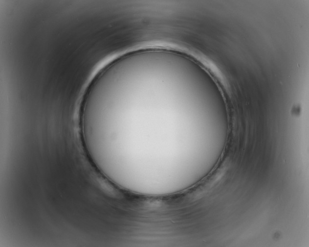 X0000103241230200808281025