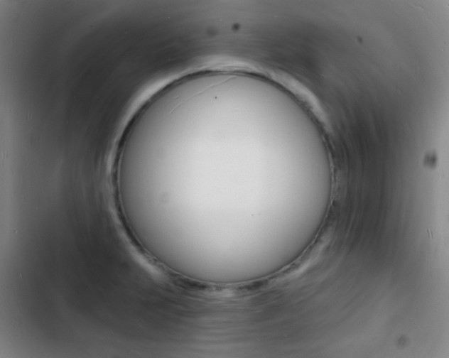 X0000103241231200808281025