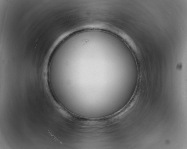 X0000103241232200808281025