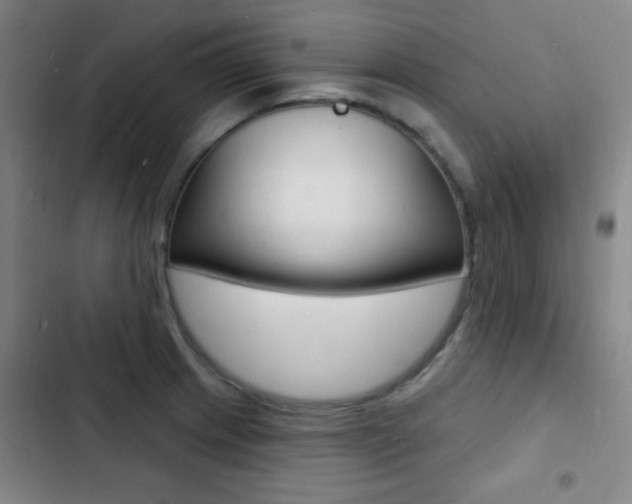 X0000103241233200808281025