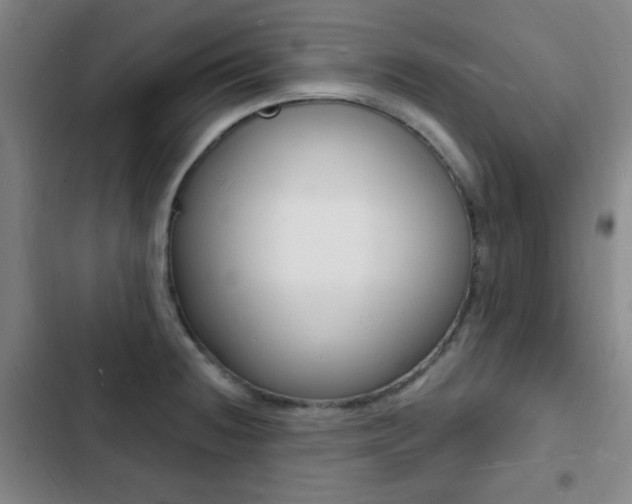 X0000103241236200808281025