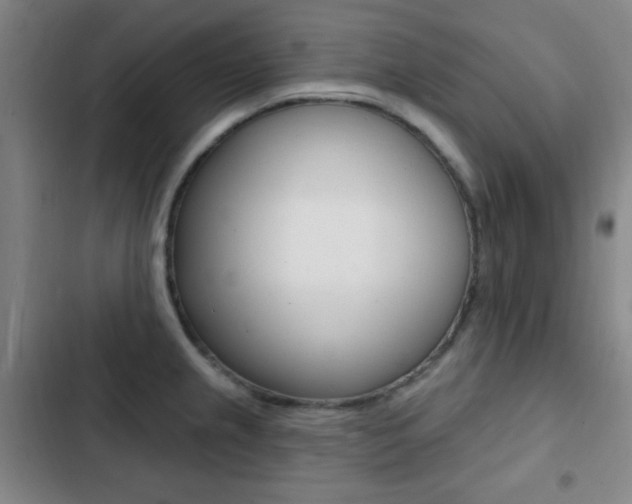 X0000103241237200808281025
