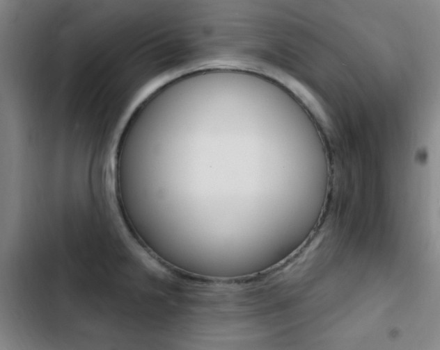 X0000103241238200808281025